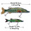 Δόλωμα ψαρέματος swimbait crankbait για πέστροφα 1,5 εκ. 4