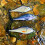 Swimbait-Angelköder 4,1 Zoll und 6 Zoll 8