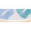 Women's Five-Toe Non-Slip Socks2Pairs 3