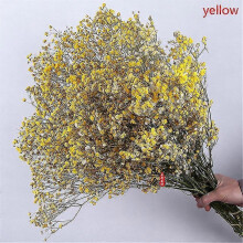 (YELLOW) Natural Fresh Dried Flowers Gypsophila Bouquet Wedding Home Decor