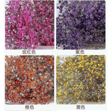 (BLUE) Natural Fresh Dried Flowers Gypsophila Bouquet Wedding Home Decor