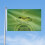 Grinch outdoor flag 3x5 ft double-sided 6