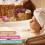 Handmade Bath Bombs Set Natural Shea Butter Essential Oils 3