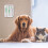 Dog Feeding Reminder Chart Magnetic Tracker 1 Piece 3