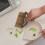 Desktop cleaning brush with dustpan, soft bristles 6