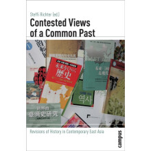 Contested Views of a Common Past Paperback Book