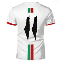 (EXC04H20252011W Size M) Palestine Football T-shirts Summer Fashion Short Sleeve Palestinian Flag 3D Print T-shirts Casual O-neck
