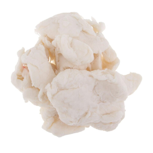 Paper Pulp for Recycling and Papermaking 100g 1