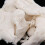 Paper Pulp for Recycling and Papermaking 100g 4