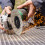 Angle Grinder Cutting Blade for Stone Ceramic,4in Super Thin Tile Saw Blade,Rock Slab and Tile Cutting Grinding Disc 5PC 3