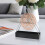 Iron Mosquito Coil Holder with Handle Black 5