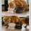 HESITONE Elevated Pet Bowls for Dogs and Cats 10 Tilted 2