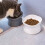 HESITONE Elevated Pet Bowls for Dogs and Cats 10 Tilted 5