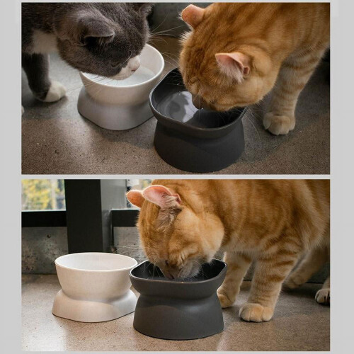 HESITONE Elevated Pet Bowls for Dogs and Cats 10 Tilted 2