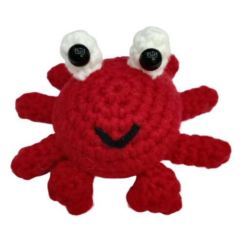 Handmade Crochet Starter Set for Beginners with Yarn Hook 2