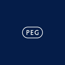 Peg Perego 12V - 12Ah Original Rechargeable Battery, Color May Vary, Schwarz
