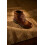Ecco ECCO Track 25 M Bison 2