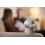 Tommee Tippee Closer to Nature Single Flow Teats x2 4
