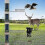 Solar Ultrasonic Animal Repeller 2