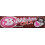 Bubblicious Cola Flavour 5pcs each (box of 18) 1