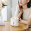 Small Humidifiers 800ml Desk Humidifiers Quiet Operation Night Light Function Two Modes for Bedroom Babies Room Office A 10