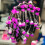 Natural Curling Irons, 30 Count, Styling Tools for Long and Short Hair 3