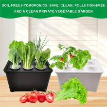 Professional Hydroponic Grower Box for Indoor Plant Propagation, Vegetables & Fruits Black