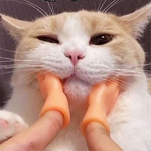 2pcs Finger Puppets for Left and Right Hand, Funny Cat Toy for Interactive Storytelling Play