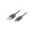 Lanberg CA-USBO-10CU-0005-BK USB cable USB 2.0 0.5 m USB A USB C Black 1