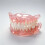 (1 Box) Instant False Teeth for Adults with Tooth Loss - Soft Tissue Adhesive Dentures with Comfortable Plastic Base; Decorative 2
