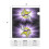 Vikings Team Mailbox Cover Magnetic Protective Cover 7