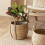 Basket Planter Straw Woven with Handle Small 4