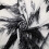 White tapestry wall hanging with black and white palm 7
