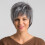 Transparent Lace Frontal Wig Silver White Short Straight 1
