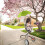 Adjustable stroller parasol with clamp 1 pack 5