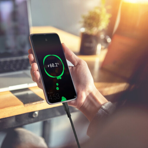 Leileiiiii Type-C Charging Cable 30cm Fast Charging 1