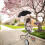 Adjustable Parasol Umbrella with Clamp for Stroller 1 pcs 5