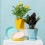 Birch Pot Saucer Durable Thickened Plastic 12-inch 5