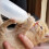 Biberon pour chiots, écureuils et hamsters, 50 ml ou 3
