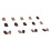 Brune Leopard Fulddækkende Negle 24Pieces Korte med 7