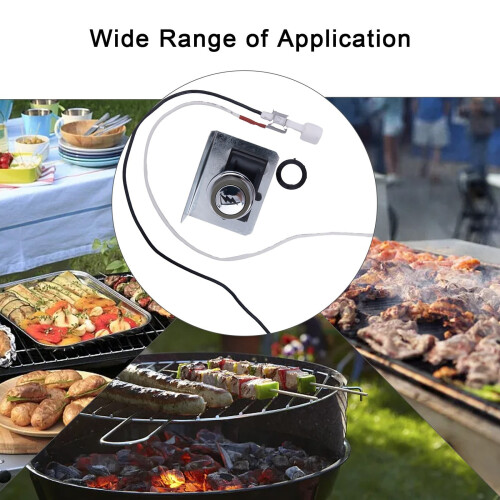 Ανταλλακτικό κιτ ανάφλεξης Weber Genesis300Series για 1