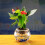 Plastic mesh pot net for hydroponic plant growth 7