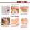 Pferdeöl Hand- und Fußcreme 100 ml 4