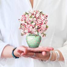 Freshcut Paper Popup-Karten, Mini Kirschblüten, 6 Zoll Mini Forever Flower Strauß 3D Grußkarten