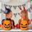 LED Light-Up Pumpkin Candy Bucket for Kids 2PCS 5