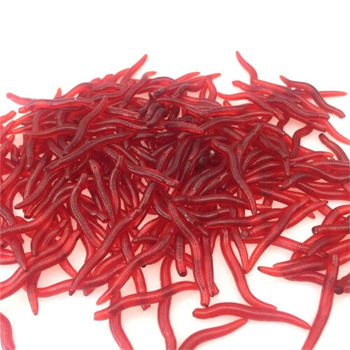 Fishing Bait Earthworm Soft Belly Chest Fork Dice 50pcs