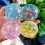 Elastic Maltose Decompression Squeeze Ball 1 Pack 3
