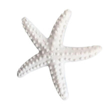 Adorno de estrella de mar de resina, decoración para bodas con temática playera, 6 piezas