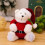 Christmas Teddy Bear Plush Decoration 1 Piece 1