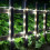 Ηλιακά φώτα σχοινιού ZOELNIC λευκά 23ft50LED 5